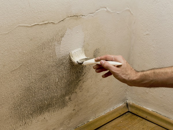 Trattamento muffe-macchie gialle Trattamento muffe-macchie gialle